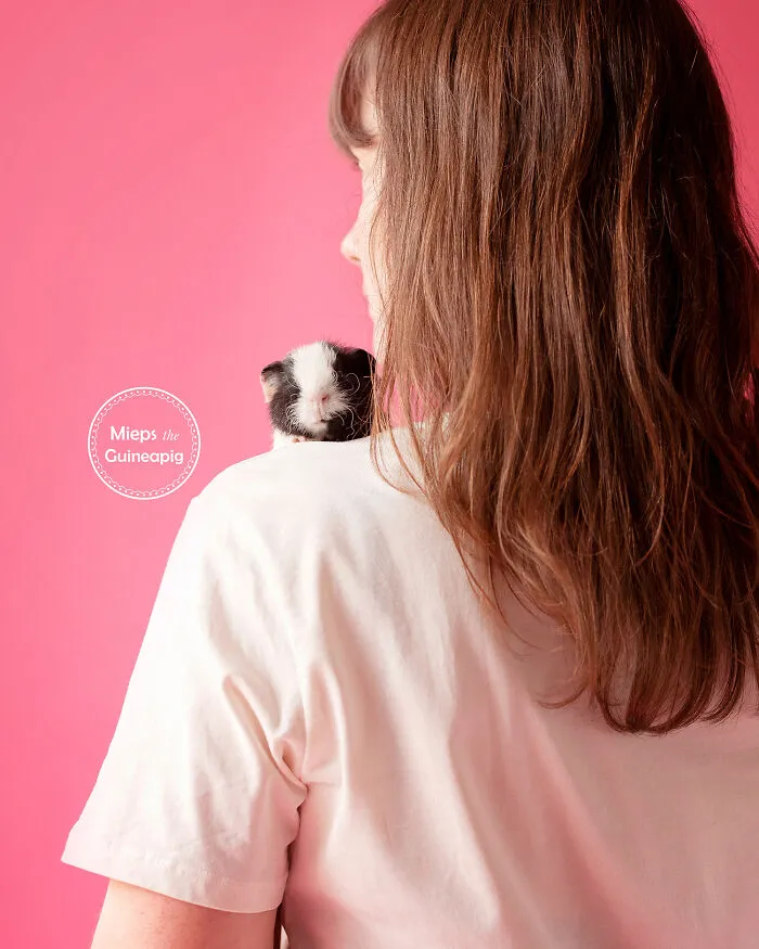 On The Shoulder
