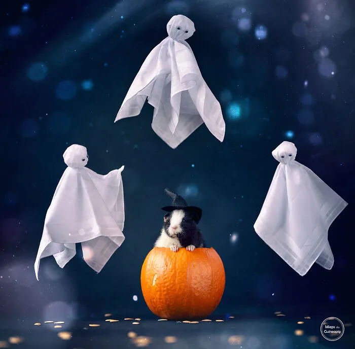 Spooky