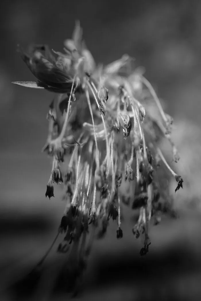 The Intersection Of Photography And Mindfulness (16 Pics)