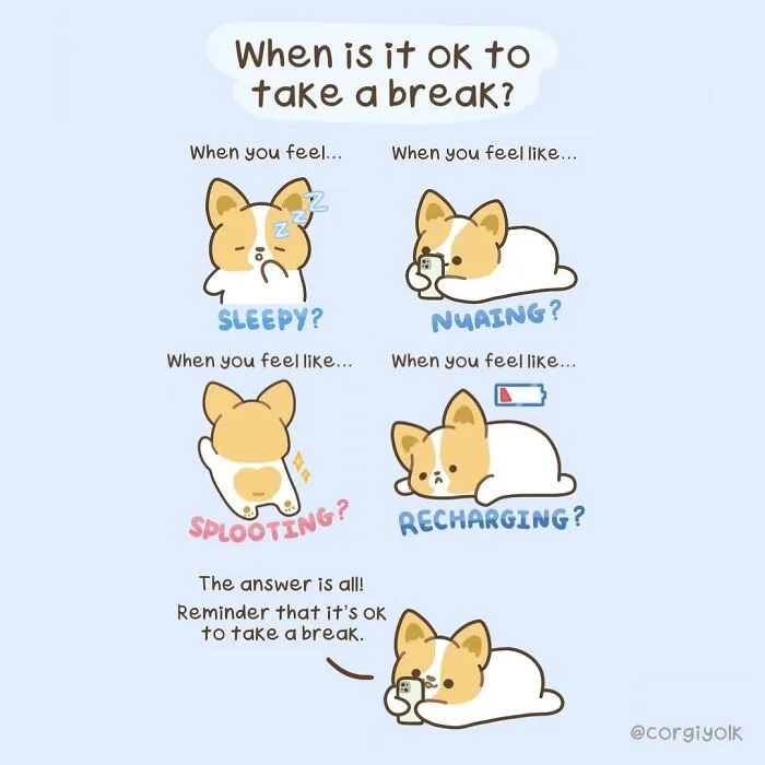 26 Wholesome Comics By Sonia Yeo, Starring A Playful Corgi And Its Furry Companions