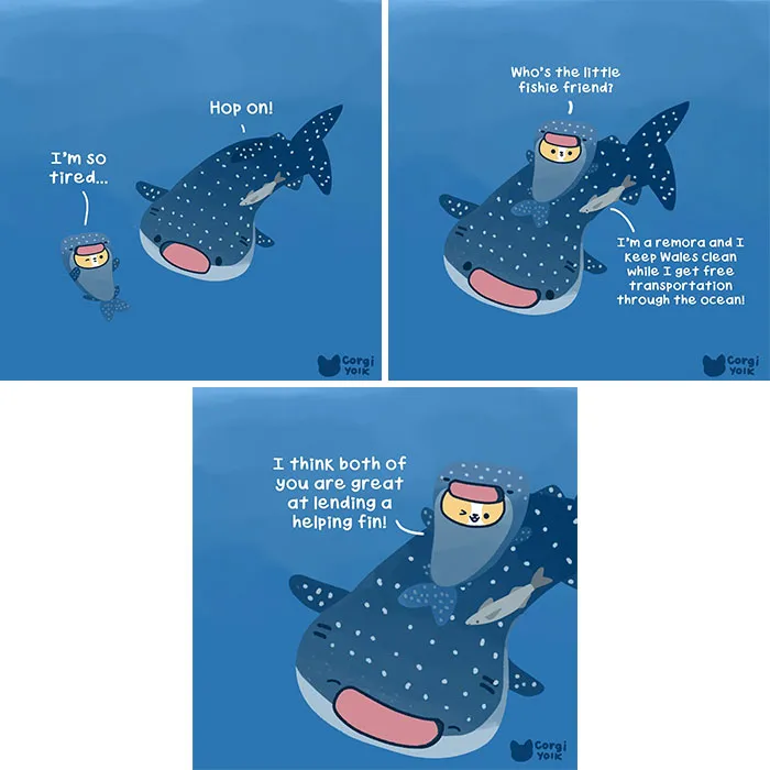26 Wholesome Comics By Sonia Yeo, Starring A Playful Corgi And Its Furry Companions