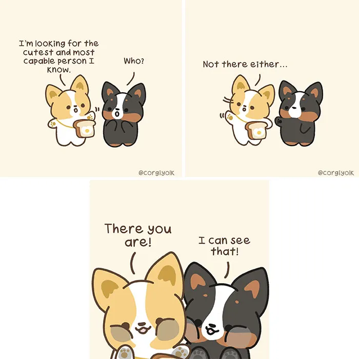 26 Wholesome Comics By Sonia Yeo, Starring A Playful Corgi And Its Furry Companions