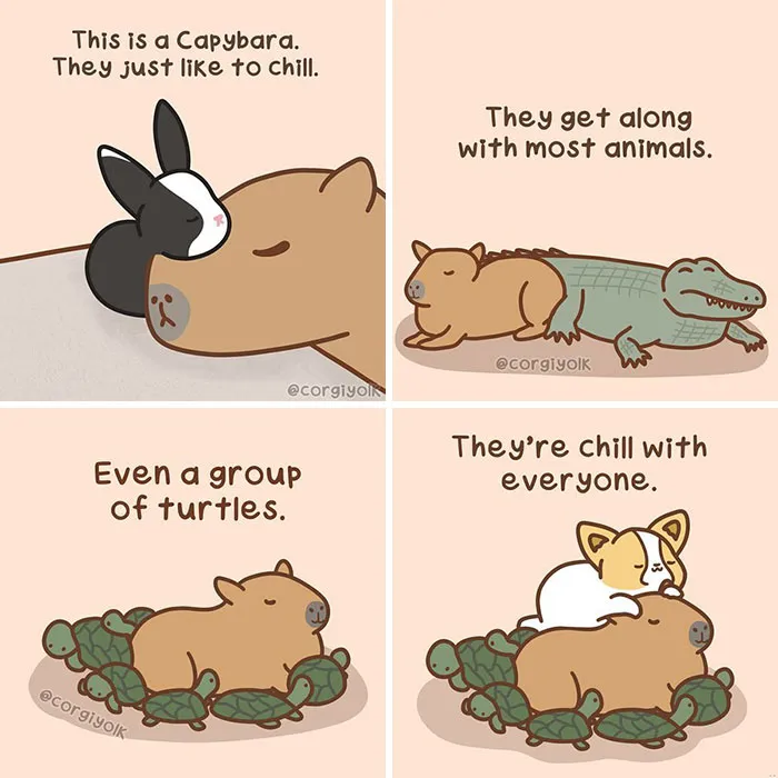 26 Wholesome Comics By Sonia Yeo, Starring A Playful Corgi And Its Furry Companions