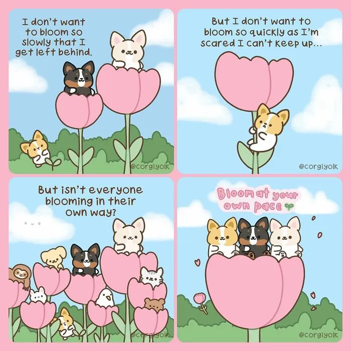 26 Wholesome Comics By Sonia Yeo, Starring A Playful Corgi And Its Furry Companions