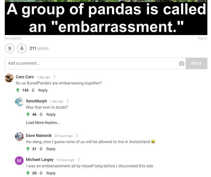 Hey Pandas, Share Your Favorite Bored Panda Comments (Closed)