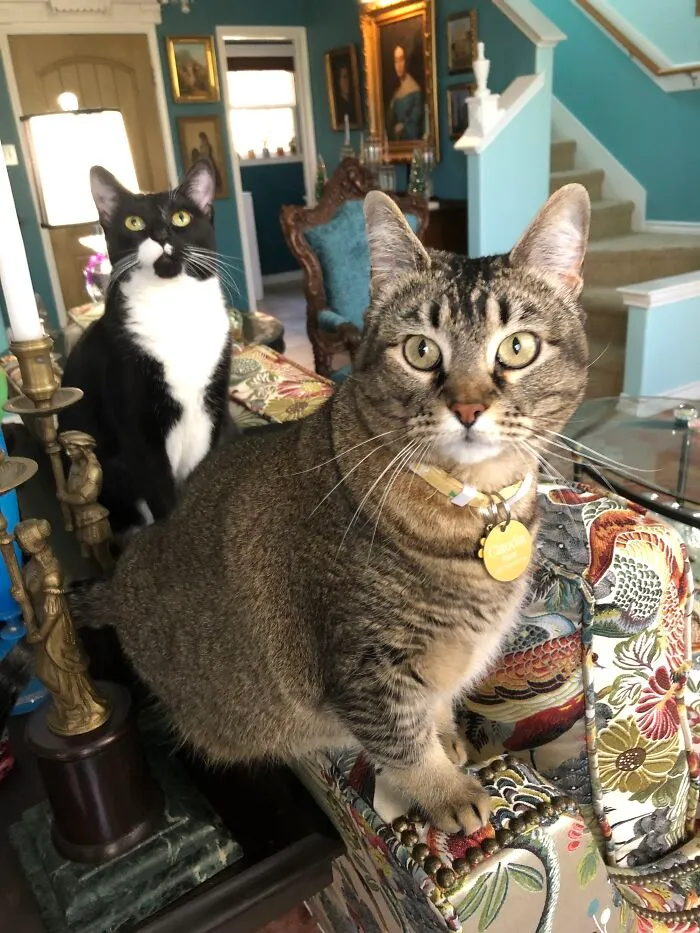 Pizzazz And Claudia Blaisdel, My Girls.  They Keep Their Eyes On Me