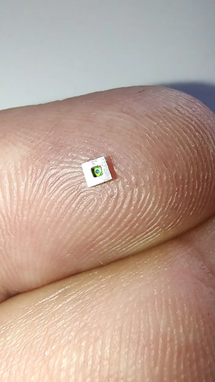 I Create The Smallest Painting In The World (16 Pics)