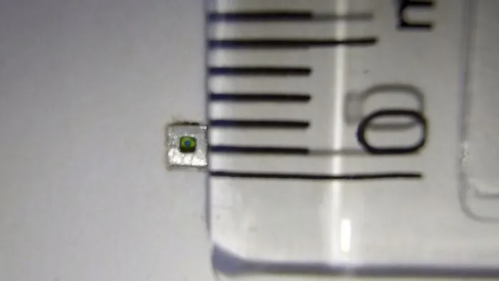I Create The Smallest Painting In The World (16 Pics)