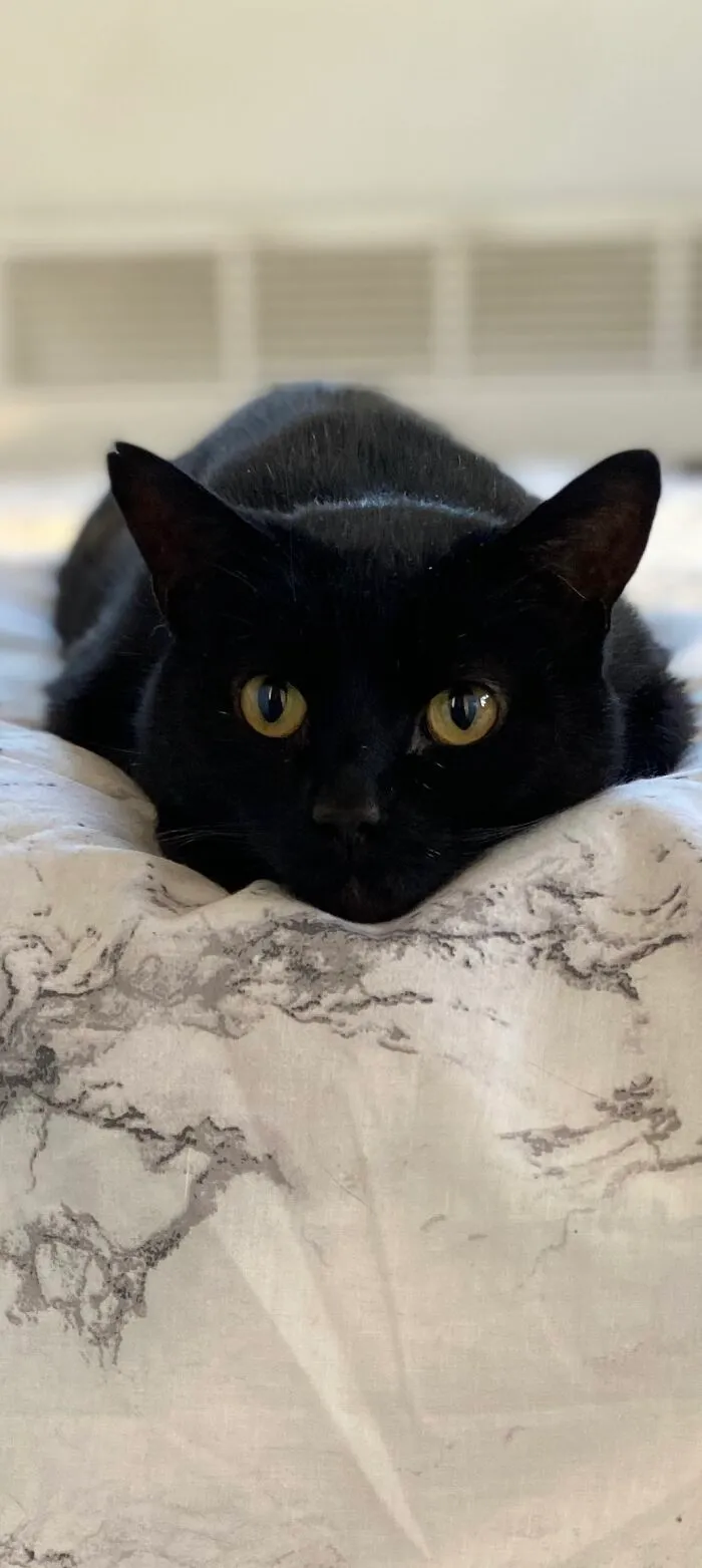 My Handsome Boy