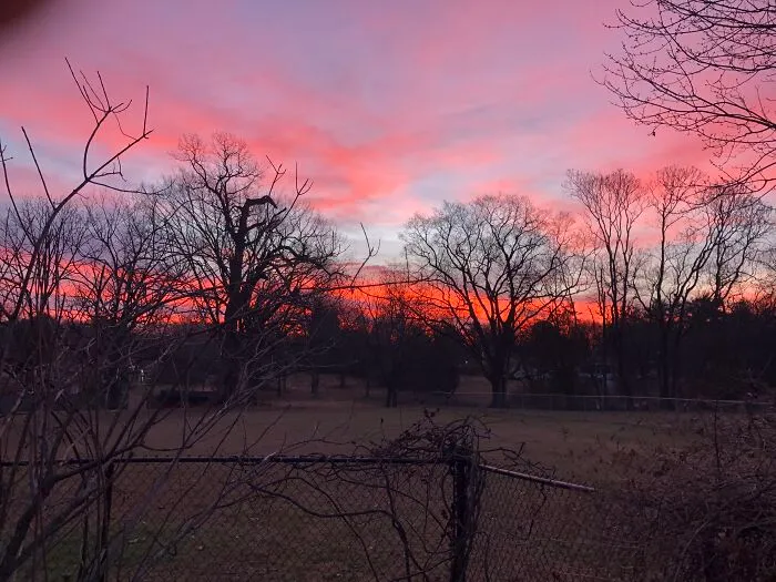 A January Sunrise