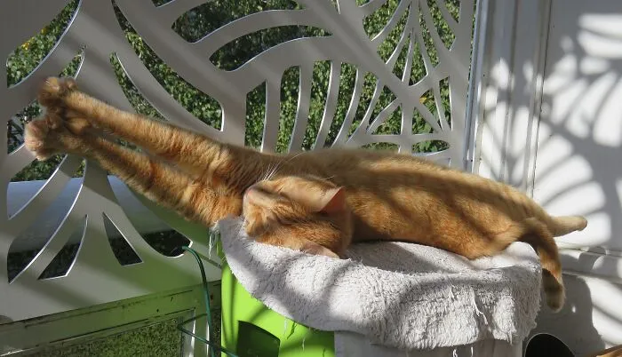 Really Big Stretch
