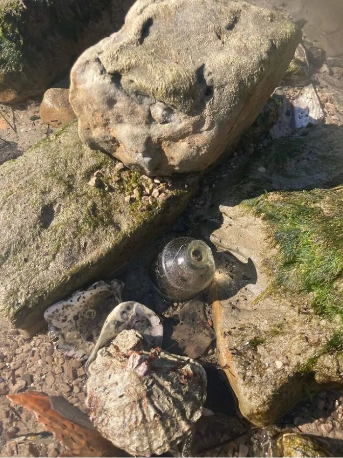Can You Spot The Bottle?