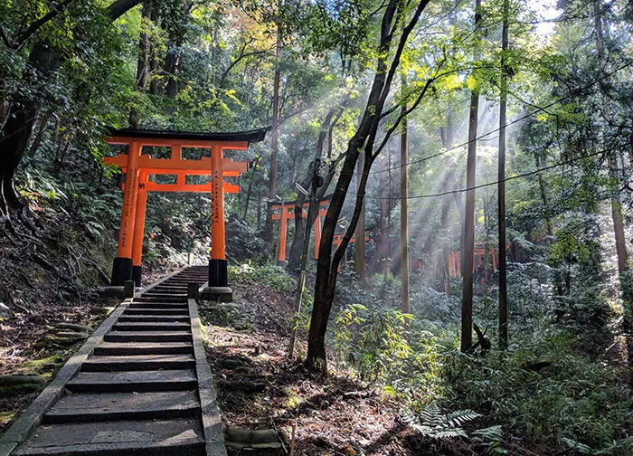 I Managed To Avoid The Crowds In Kyoto And Took This Photo