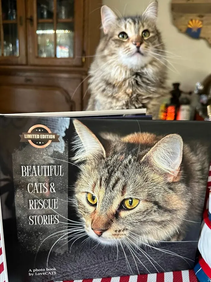 Kachina From The Us Won The Cover Of Lovecats 2023 Photobook!