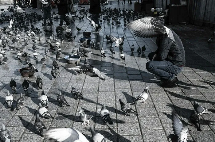 30 Entertaining Street Photographs As Proof That Timing Is Everything