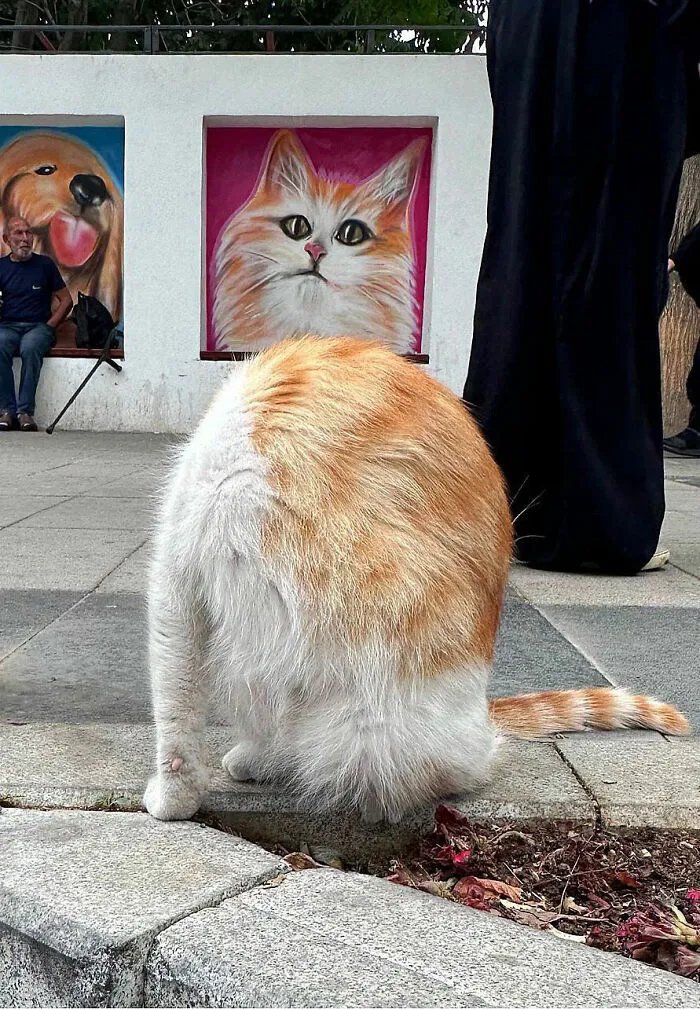 30 Entertaining Street Photographs As Proof That Timing Is Everything