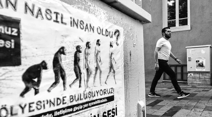 30 Entertaining Street Photographs As Proof That Timing Is Everything