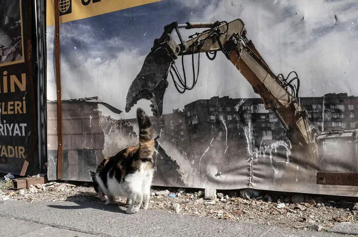 30 Entertaining Street Photographs As Proof That Timing Is Everything