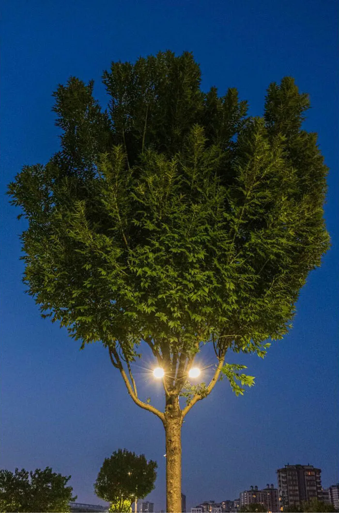 30 Entertaining Street Photographs As Proof That Timing Is Everything