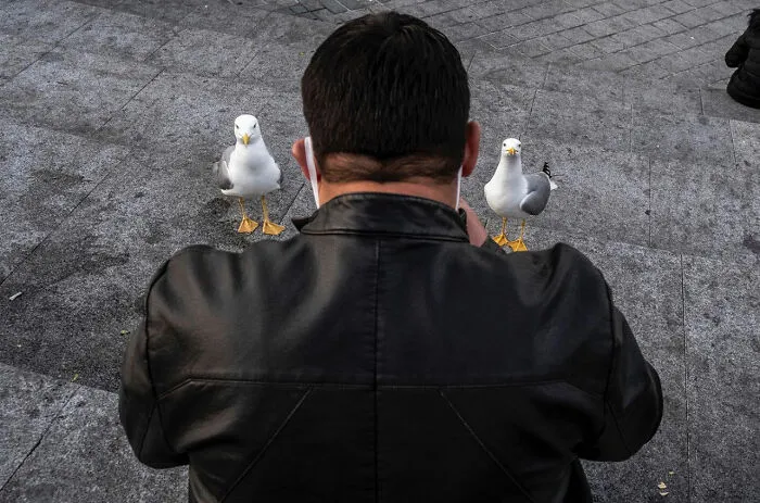30 Entertaining Street Photographs As Proof That Timing Is Everything