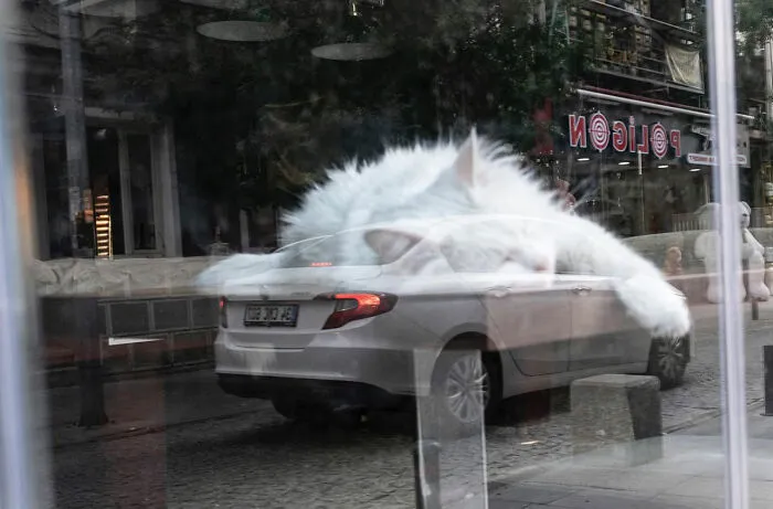 30 Entertaining Street Photographs As Proof That Timing Is Everything