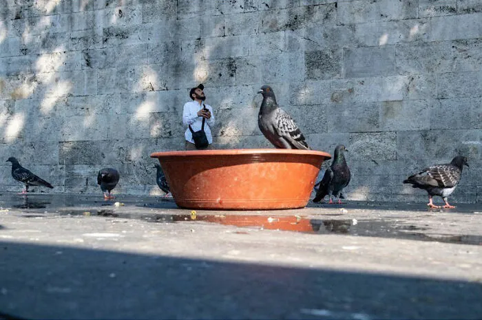 30 Entertaining Street Photographs As Proof That Timing Is Everything