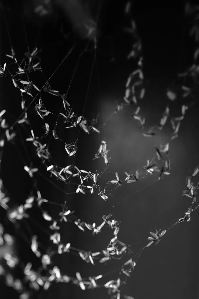 The Intersection Of Photography And Mindfulness (16 Pics)