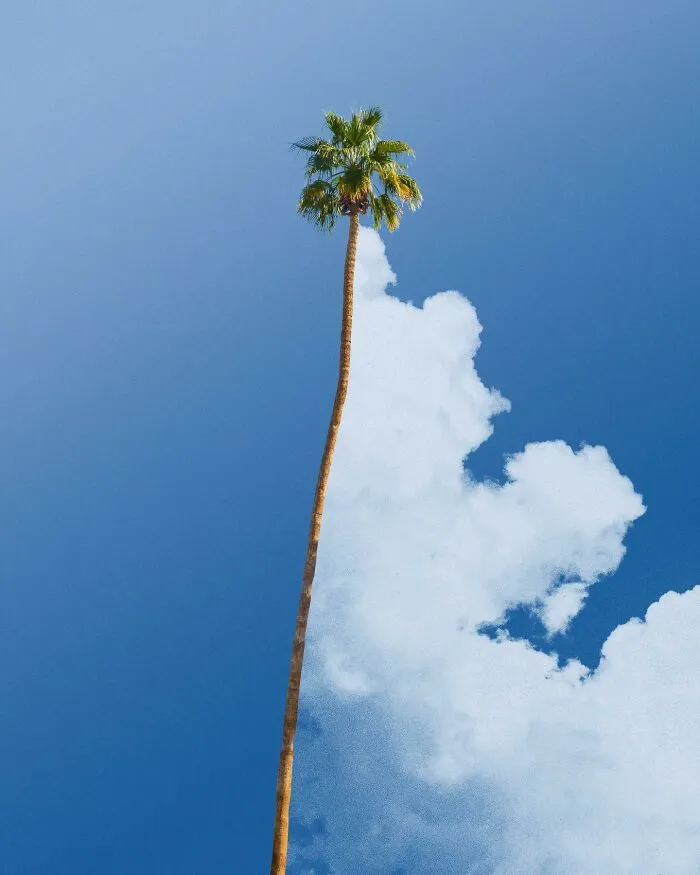 30 Surreal Pictures Showcasing An Alternative Reality By Tom Fabia