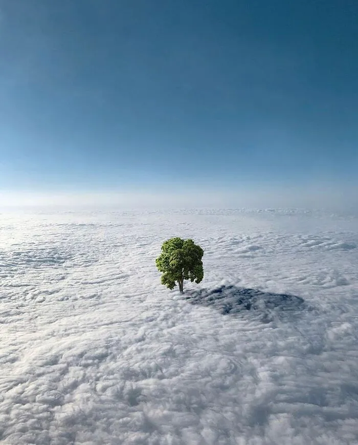 30 Surreal Pictures Showcasing An Alternative Reality By Tom Fabia