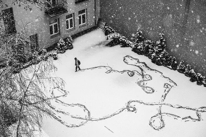 1st Place In The Street Category: "Snowfall" By Beata Zawrzel, Poland