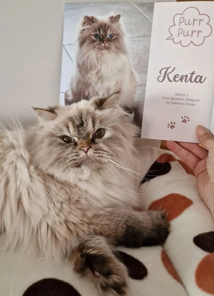 Kenta From Belgium