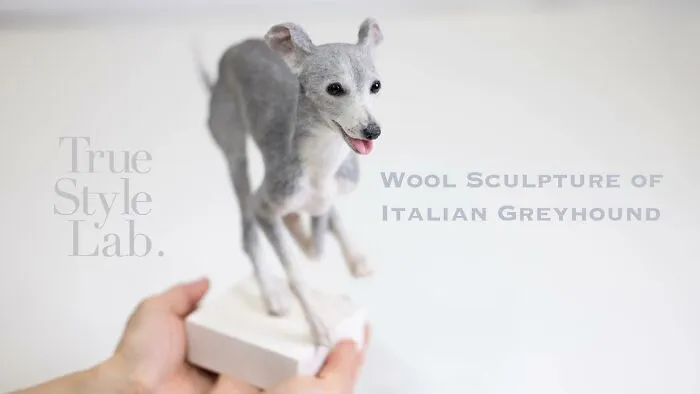 Artist Makes Hyper-Realistic Wool Animal Sculptures Through Needle Felting (18 Pics)