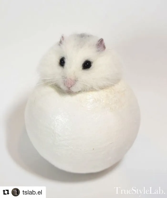 Artist Makes Hyper-Realistic Wool Animal Sculptures Through Needle Felting (18 Pics)