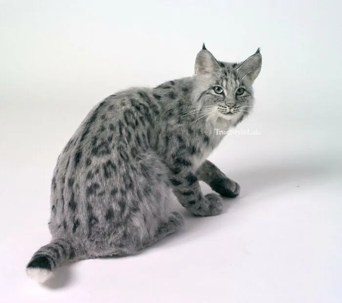 Artist Makes Hyper-Realistic Wool Animal Sculptures Through Needle Felting (18 Pics)