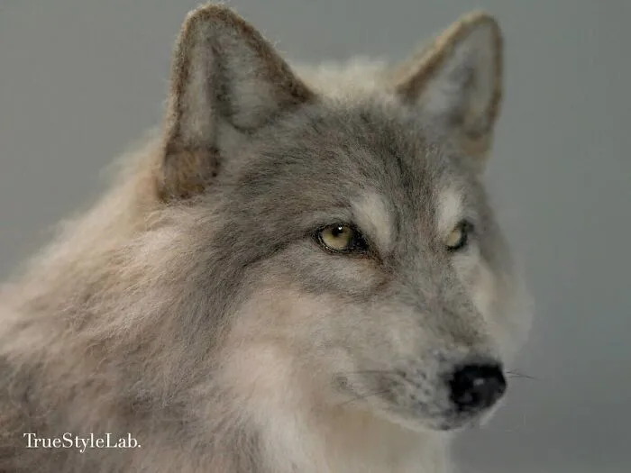 Artist Makes Hyper-Realistic Wool Animal Sculptures Through Needle Felting (18 Pics)