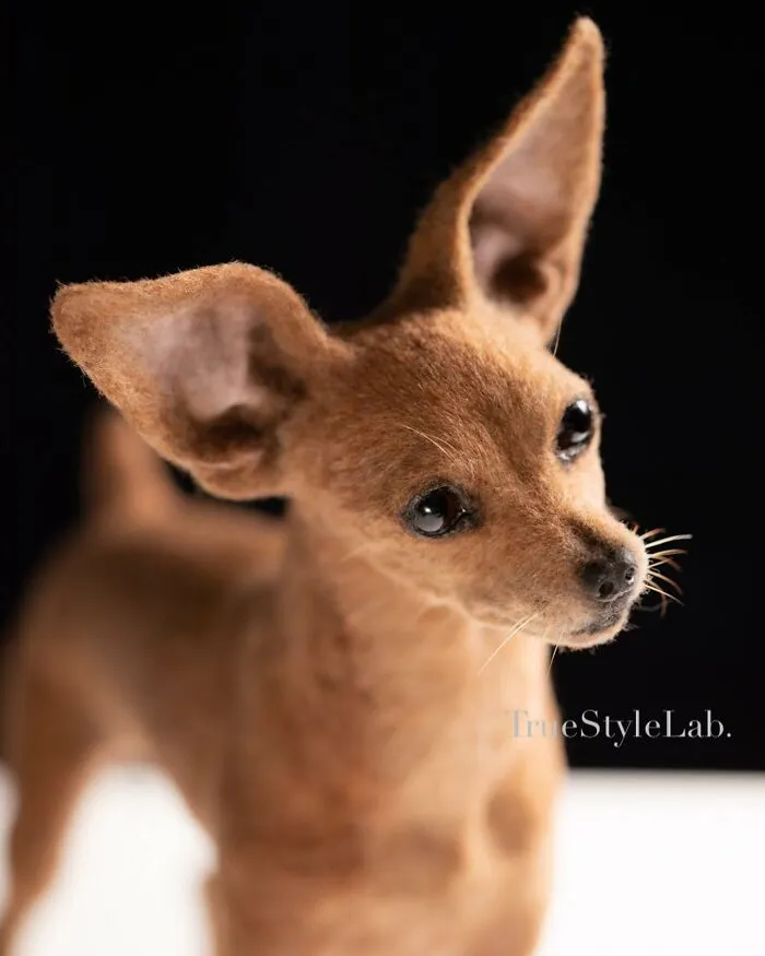 Artist Makes Hyper-Realistic Wool Animal Sculptures Through Needle Felting (18 Pics)