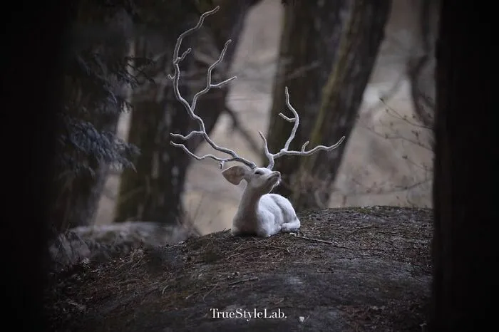 Artist Makes Hyper-Realistic Wool Animal Sculptures Through Needle Felting (18 Pics)