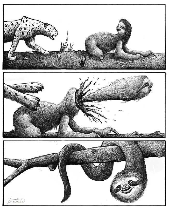 30 Nonsensical Scientific Illustrations Of Wildlife By Tim Andraka