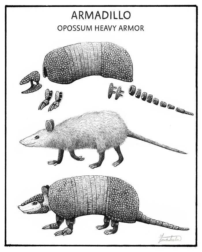 30 Nonsensical Scientific Illustrations Of Wildlife By Tim Andraka