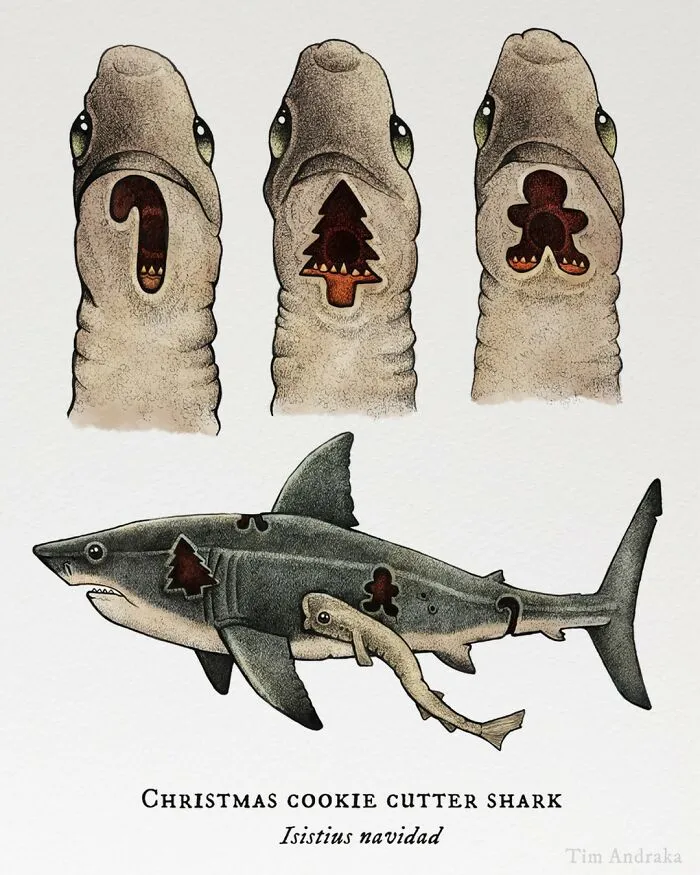 30 Nonsensical Scientific Illustrations Of Wildlife By Tim Andraka