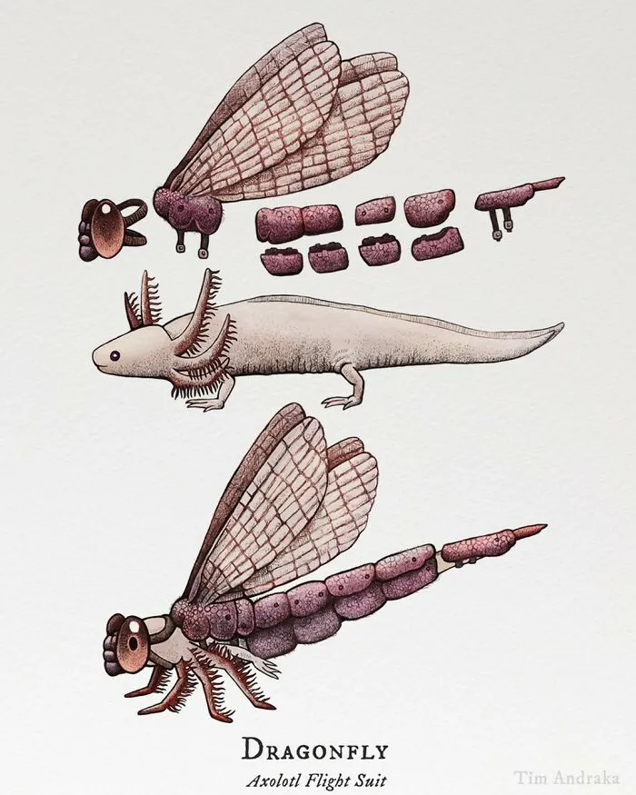 30 Nonsensical Scientific Illustrations Of Wildlife By Tim Andraka