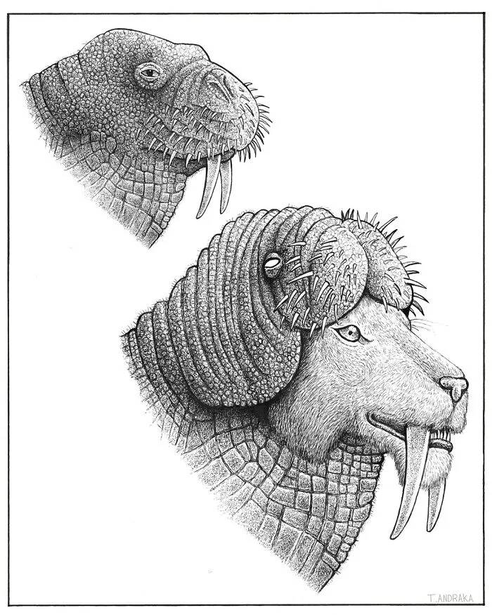 30 Nonsensical Scientific Illustrations Of Wildlife By Tim Andraka