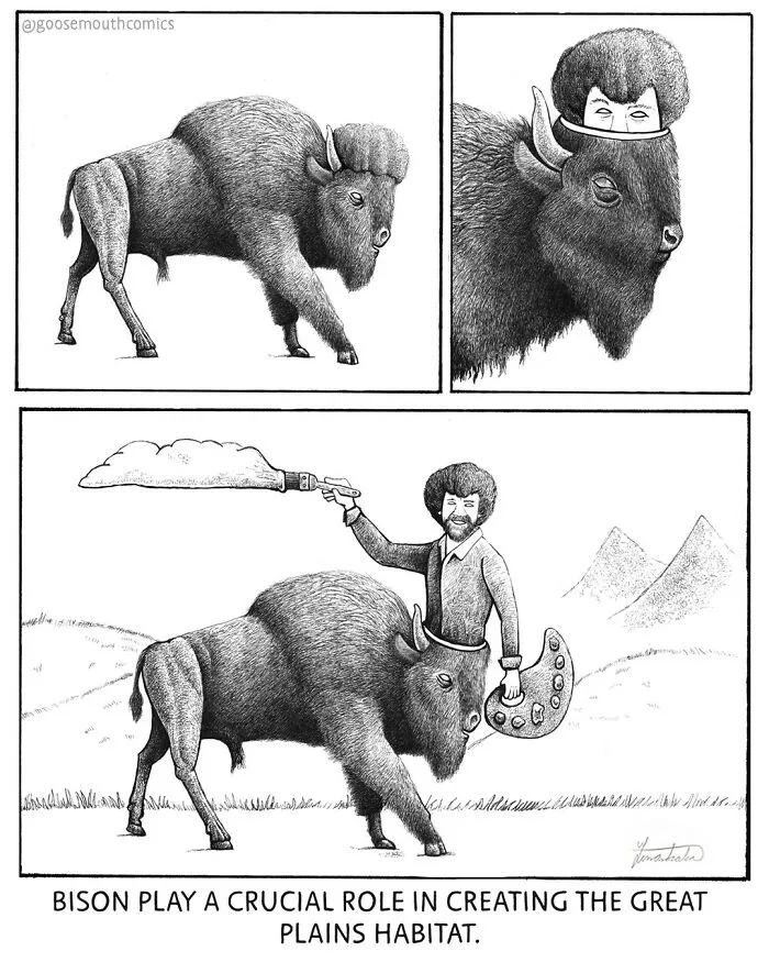 30 Nonsensical Scientific Illustrations Of Wildlife By Tim Andraka