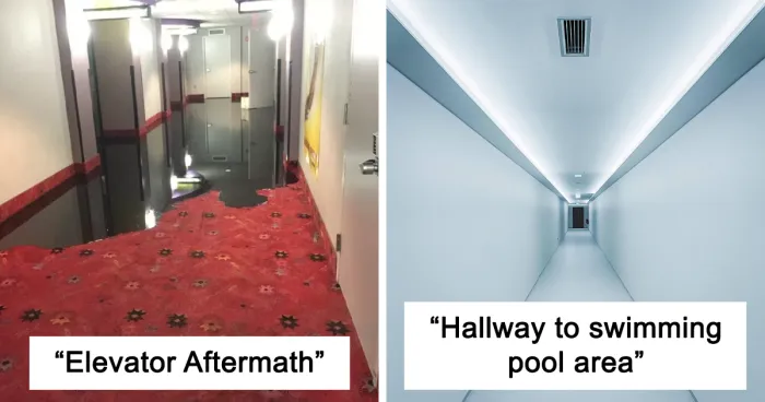 30 Times People Encountered Real-Life Moments So Distinct, They Belonged In A Kubrick Movie