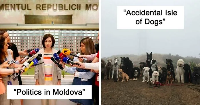 50 Aesthetically Pleasing “Accidental Wes Anderson” Moments People Have Captured In Real Life (New Pics)