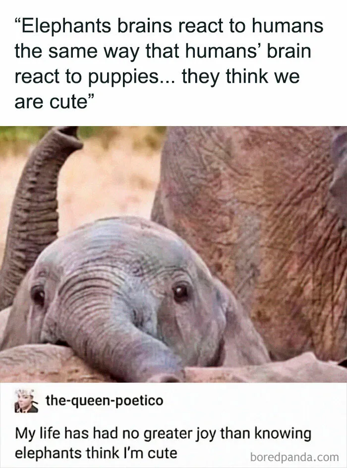 35 Relationship, Life, And Other Chucklesome Memes Shared In This Online Group With 513K Members