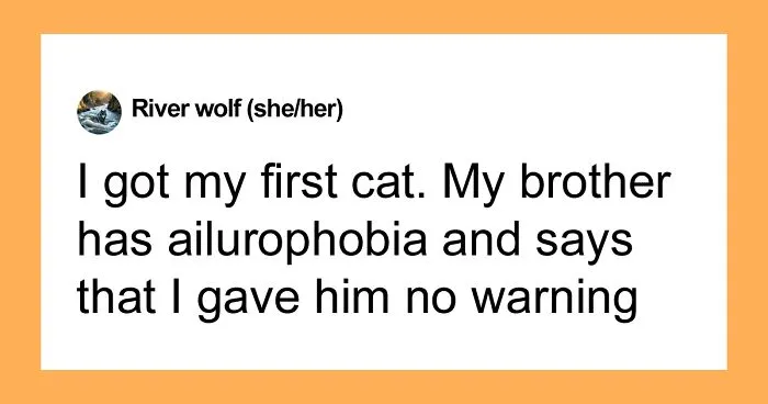 Hey Pandas, AITA For Being Irritated When My Brother Asks Me To Get Rid Of My Cat?
