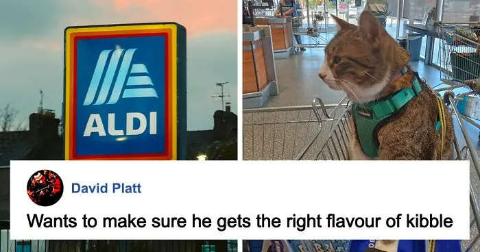 Purr-Hibited: People Fume Over Aldi Shopper After She Brought Her Cat To The Store