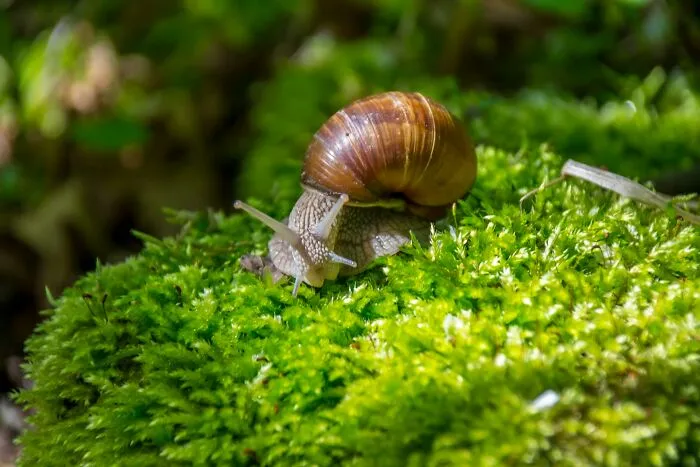 30 Cool And Interesting Animal Facts That People Didn't Learn At School