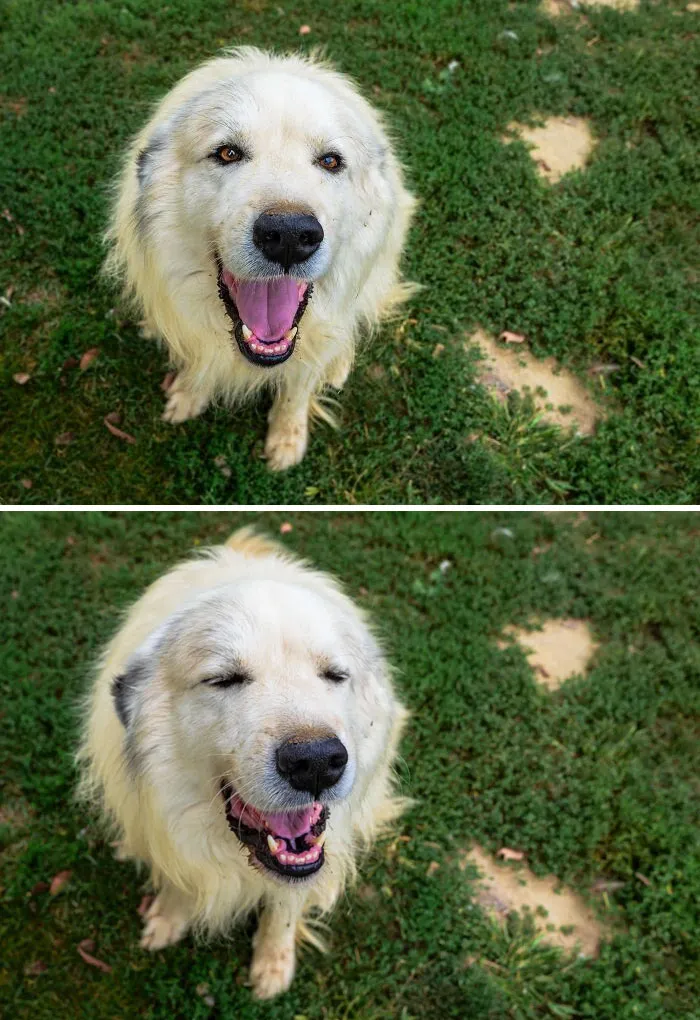 Antes y después de decir "buen chico"